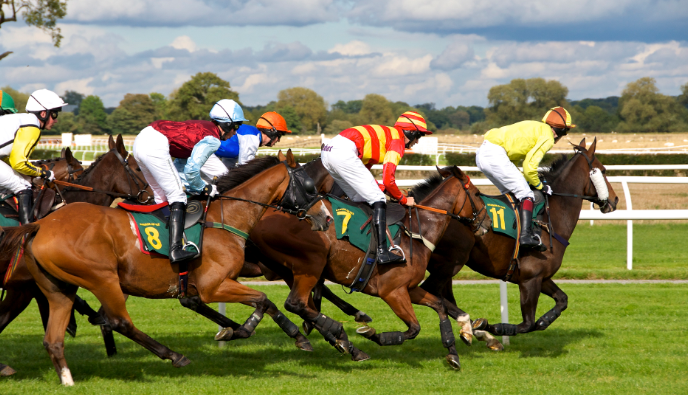 an-ultimate-beginners-guide-to-horse-betting