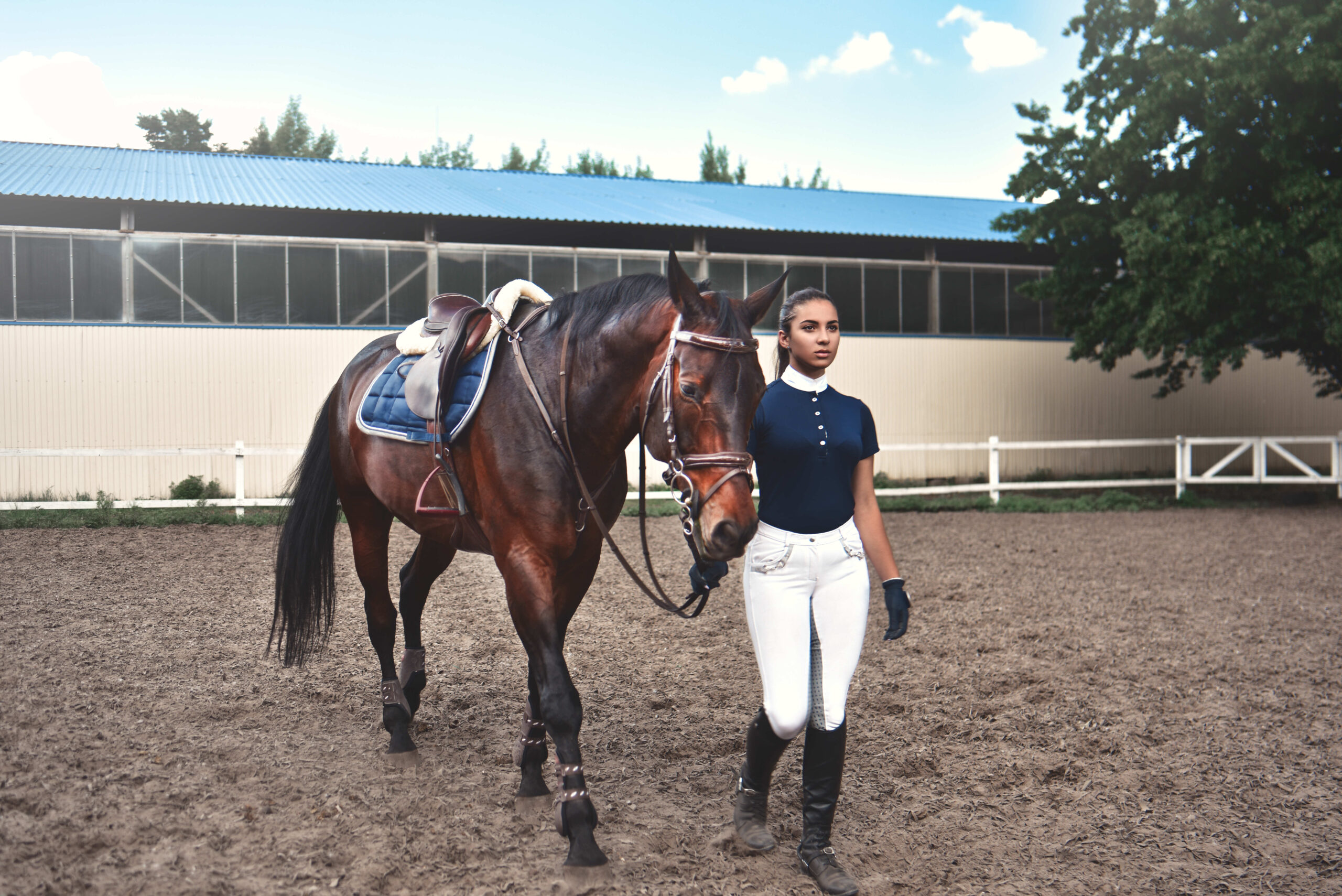 young-girl-leads-her-horse-training-preparing-it-hippodrome-races-pandemic-betting-content-image