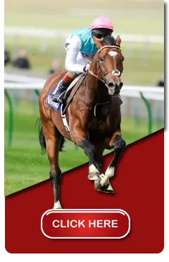 Horse and dog racing information